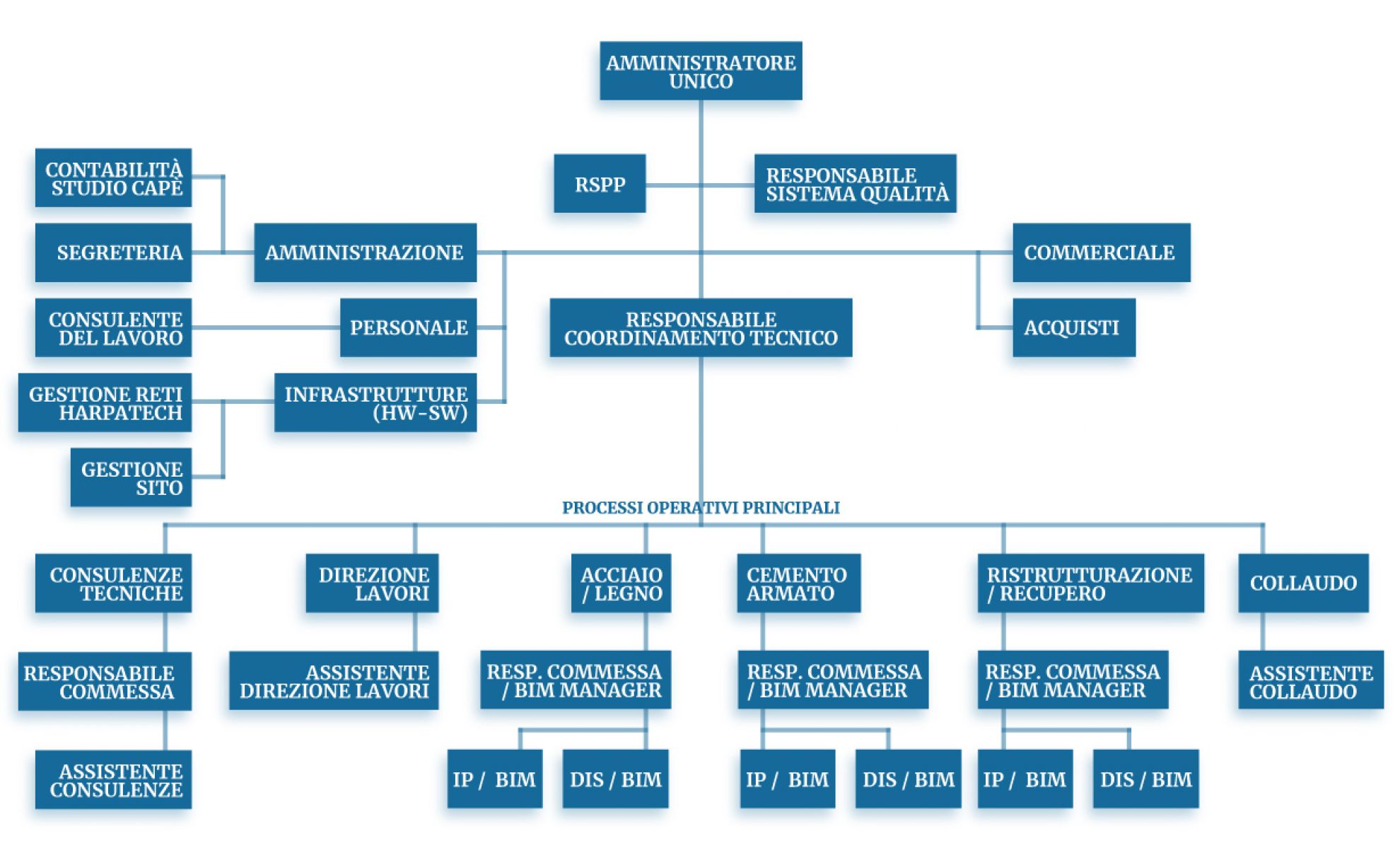 Organigramma